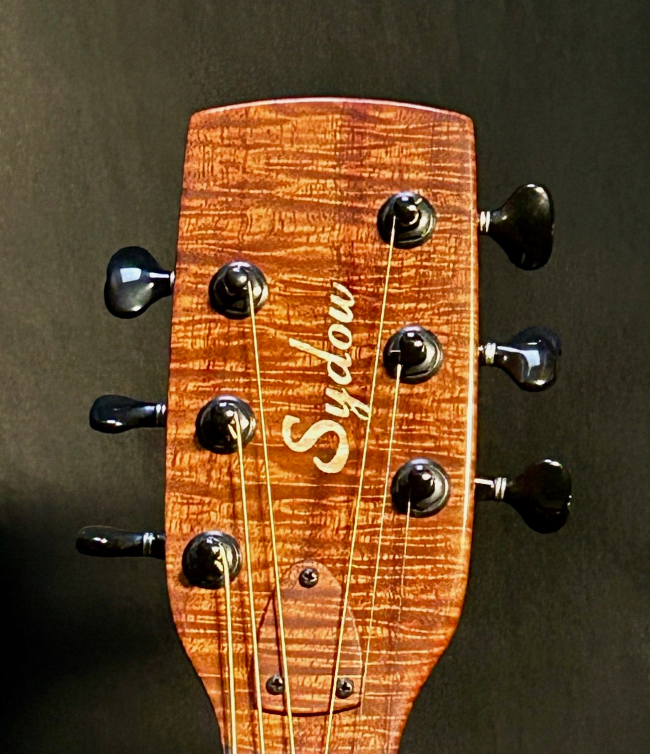 Koa Acoustic-Electric Guitar with Go Acoustic System (in Nashville)